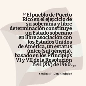 sec-113-libre-asociacion